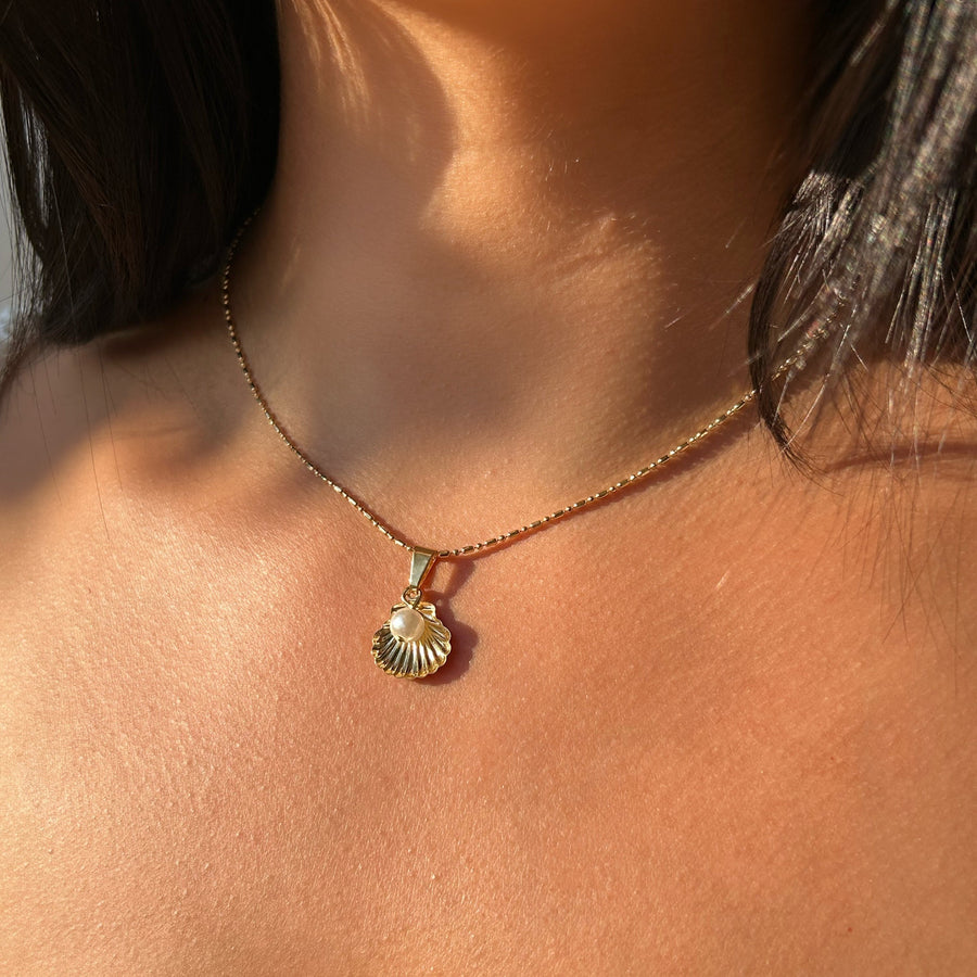 Madreperla Shell Necklace